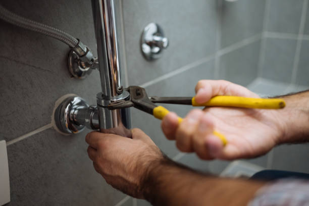 Best Plumbing Inspection Services  in Cambridge Springs, PA