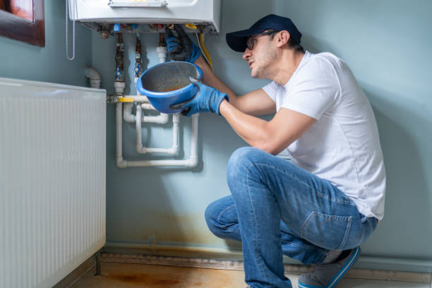 Best Local Plumber Services  in Cambridge Springs, PA