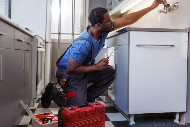 Best Commercial Plumbing Services  in Cambridge Springs, PA